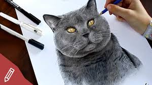Their coats are short, thick and plush. Drawing British Blue Shorthair Cat My Cat Mrs Marple Realistic Animal Portrait Youtube
