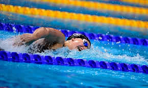 Check spelling or type a new query. Zilver Nederlandse Gemengde Estafette Kamminga Vijfde Op 50m School Finale Kromowidjojo Andere Sporten Ad Nl