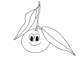 Anasinifi Mandalina Boyama Mandala Meyve