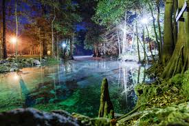 Check spelling or type a new query. Water Electric Sites Ginnie Springs Outdoors High Springs Fl