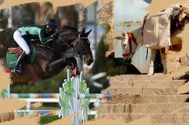 Check spelling or type a new query. Malin Baryard Johnsson And El Barone 111 Contribute To Horse Welfare Through Regive World Of Showjumping