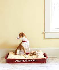 Plus, the new dog bed looks great in our house. 19 Adorable Diy Dog Beds How To Make A Cute Cheap Pet Bed