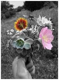 Black And White With Pop Of Color Art Australia Splash Of Color Color Splash Black And White Pictures Color Pop