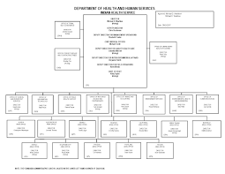 organizational structure about ihs