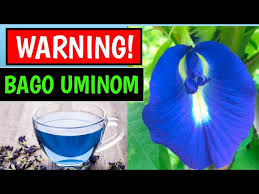 Use the controls below to browse different examples of pronunciation. How To Pronounce Butterfly Pea Howtopronounce Com