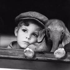 Michelle Doolan (shellstevedoola)