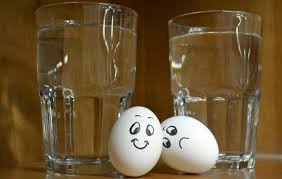 How to tell if eggs are off water test. How To Tell If Eggs Are Bad Egg Test Rada Cutlery