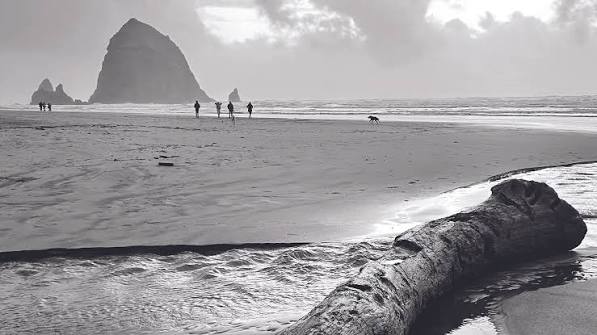 Getting Out: Winter Overnight Trip to Cannon Beach — Nordic Fox Design Co.