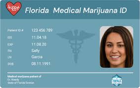 A person who holds an active, unrestricted license as an allopathic physician (ch. Get Florida Medical Marijuana Card Online 420 Cannabis Doctors
