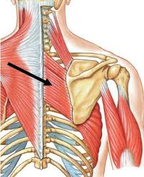 Pin On Massage