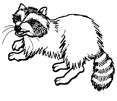 Free printable winter coloring pages for adults. Coloring Page Of A Raccoon Coloring Home