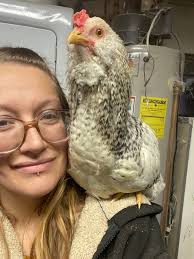 Let's welcome our new members! We are happy to have you. This group is  brought to you by My Favorite Chicken Group members get **10% off** their  first purchase with **coupon code** "**