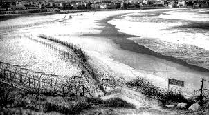 Discover more posts about bondi. Timeless Photos Of Bondi Beach You Won T Believe How It S Changed