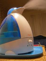 I left my office and for about 2 hours and came back it was still on but it. Maids Of The Mist 15 Steamy Humidifier Designs Urbanist