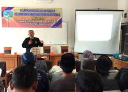 Sebab kandang memiliki peran yang sangat. Dinas Pertanian Dan Perikana Kota Tasik Adakan Pelatihan Budidaya Ayam Ras Petelur Mediatasik