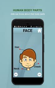 Family tree names picture vocabulary. Human Body Parts For Android Apk Download