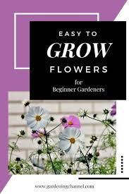 Looking to grow your own perennial flower garden? 12 Easy Flowers For Beginner Gardeners Gardening Channel