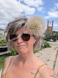 Salsify puff found in central Minnesota yard