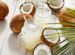 32 7 coconut palm tree. What Happens To Your Body When You Drink Coconut Water Eat This Not That