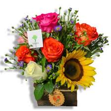 Kremp florist designs get well balloon bouquets, perfect for delivery to a hospital or home, that feature colorful mylar and latex balloons with encouraging slogans. Get Well Flower Delivery Flower Delivery San Juan Online Florist San Juan