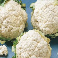 Early Snowball Cauliflower Seed ...