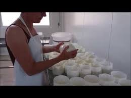 La P Tite Ferme Du Latay Fabrication Des Camemberts Au Lait Cru Youtube Lait Cru Camembert Lait