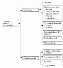 Iar cei de la google spun că: Http Www Mpt Upt Ro Doc Curs Gp Bazele Managementului Functia De Organizare Cap3 Pdf