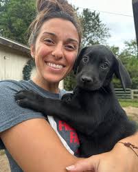 Puppies for adoption. 7 weeks old. The black ones are male and the black &  white ones are female. One male has an adorable bob tail and one female has  a semi-bob