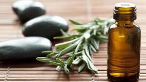 Doterra offers essential oils for people who care about improving their health. 9 Amazing Rosemary Oil Benefits From Relieving Pain To Boosting Memory Ndtv Food
