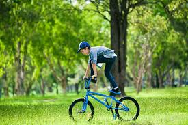 The bmx skills and exercises on this website are performed by professionals. Iii Die 10 Besten Bmx Rader Fur Kinder Juli 2021 Heimhelden