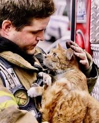 The cat's look at the firefighter after he saved him from the fire❤