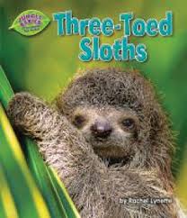 In fact, they are so. Sloths Poison Dart Frogs And Football Physics Tulsakids Magazine
