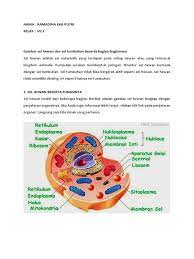Check spelling or type a new query. Gambar Sel Hewan Dan Tumbuhan Beserta Penjelasannya Pdf
