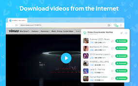 Video Downloader VeeVee - Chrome Web Store
