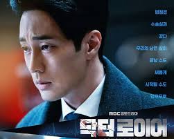 Doctor Lawyer” (닥터 로이어)