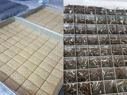 Biarkan puding gerak sendri ke. Resepi Biskut Shortbread Marble Sangat Sedap Dan Premium