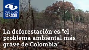 Está directamente causada por la acción del hombre sobre la naturaleza, principalmente debido a las talas o quemas realizadas por la industria maderera. La Deforestacion Es El Problema Ambiental Mas Grave De Colombia Segun Expertos Youtube