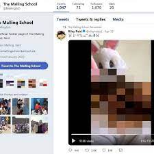 School shares tweet of porn star performing sex act on Easter bunny after  'hack' - Mirror Online