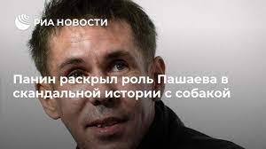 panin raskryl rol pashaeva v skandalnoj istorii s sobakoj v 2020 g panini istoriya akter
