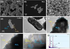 The top city of residence is brooklyn, followed by new york. Rational Design Of A Cobalt Sulfide Bismuth Sulfide S Scheme Heterojunction For Efficient Photocatalytic Hydrogen Evolution Sciencedirect
