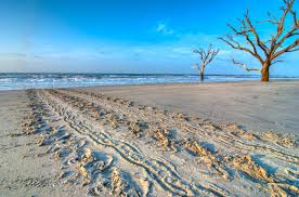 Maybe you would like to learn more about one of these? Sitemap Edistobeach Com