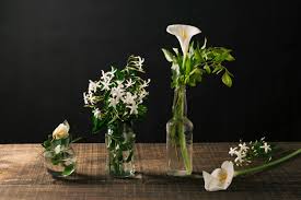 Fiori bianchi in vaso di ceramica sulla parete scura. Vasi Di Vetro Con Fiori Bianchi Foto Gratis