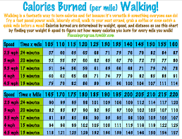 Username23867s Soup 100 Calorie Workout Calories Burned