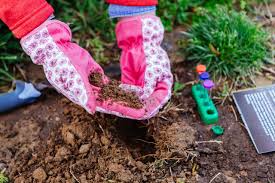A seeded or sod lawn. How To Prepare Soil For Planting A Lawn How Tos Diy