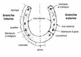 348 likes · 43 talking about this · 134 were here. Parties Fer A Cheval Tu Aimes Les Chevaux Et L Equitation Ce Blog