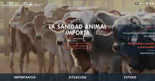 Other new elements are related to extending the legal possibility for measures for the prevention and control of emerging and listed diseases and health measures in wild animals. La Sanidad Animal Importa Nueva Web Sobre Salud Veterinaria