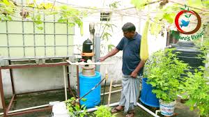 Grow Your Own Food Ii Intensive Fish Farming On Terrace Youtube