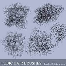 Pubic Hair Brushes By Dkstudios05 On Deviantart