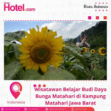 Dapatkan harga terbaik dari oyo hotels dan nikmati berbagai fasilitas lengkap penunjang kebutuhan anda. Bisnis Hotel Kampung Matahari Di Malangbong Kabupaten Facebook