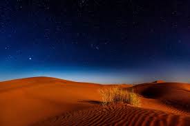 We would like to show you a description here but the site won't allow us. Desertos Do Mundo Para Conhecer Jornal De Brasilia